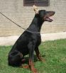 Mike Betelges at age 6 months