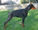 Marco Betelges 4 months old