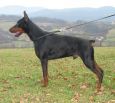 Miguel Betelges at age 2 years