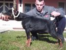 MORIS BETELGES 2 AND HALF MONTHS OLD ON PHOTO IN FRANCE