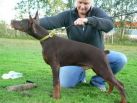 RAMON BETELGES 3 AND HALF MONTHS OLD IN FINLAND