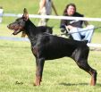 TASHA BETELGES 7 MONTHS OLD