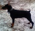 Teodora Betelges 5 months old