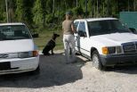 TEODORA BETELGES