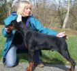 Torn Betelgess 5 months old on photo