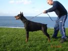 YENA BETELGES - IN ENGLAND 2 AND HALF YEARS OLD